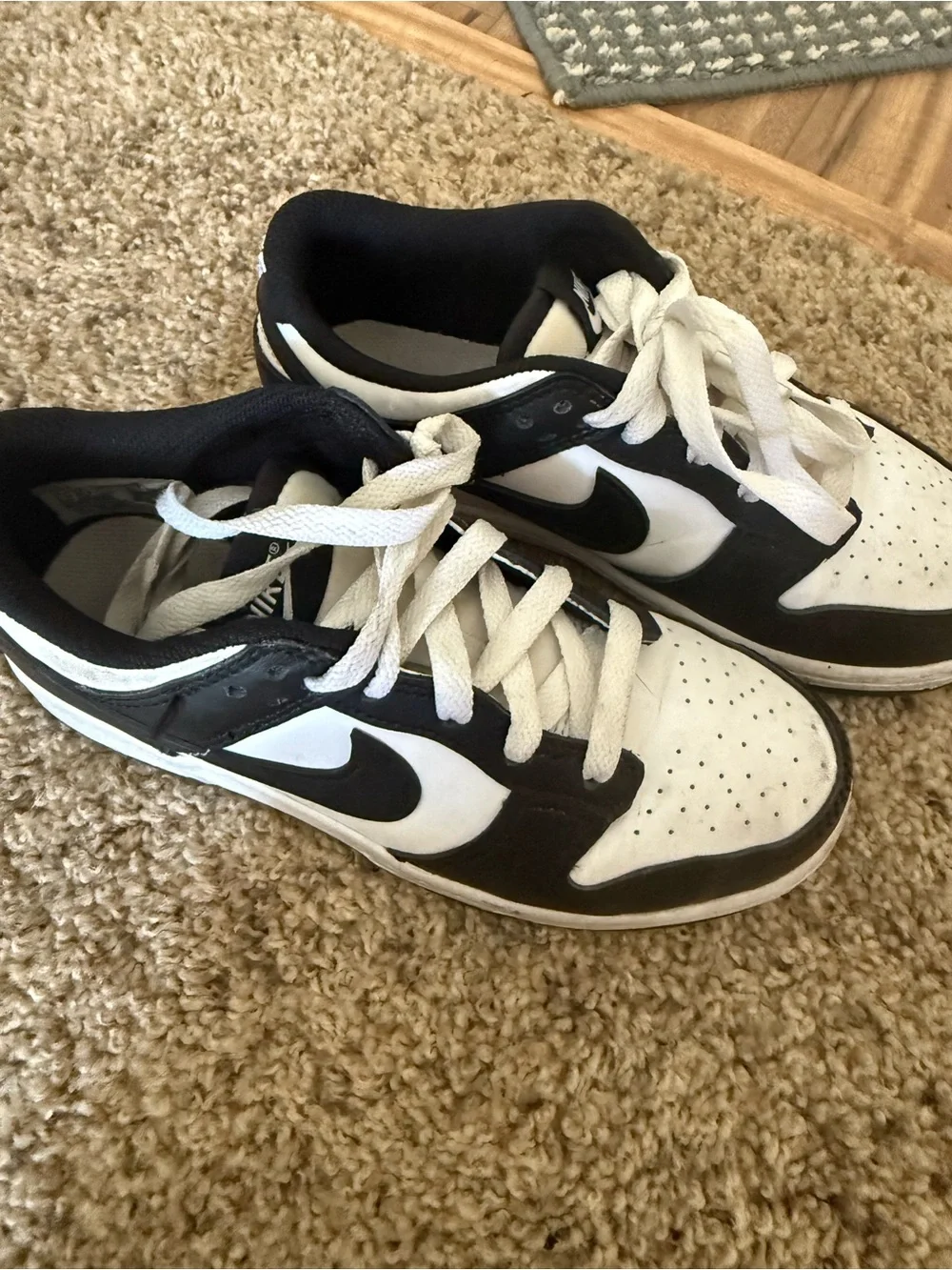 Nike Dunk Shoes